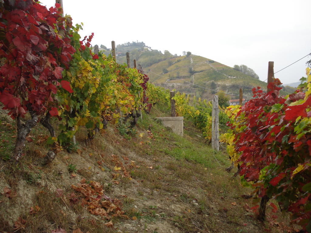 Agriturismo Cascina L'Arche ซานโตสเตฟาโน เบลโบ ภายนอก รูปภาพ