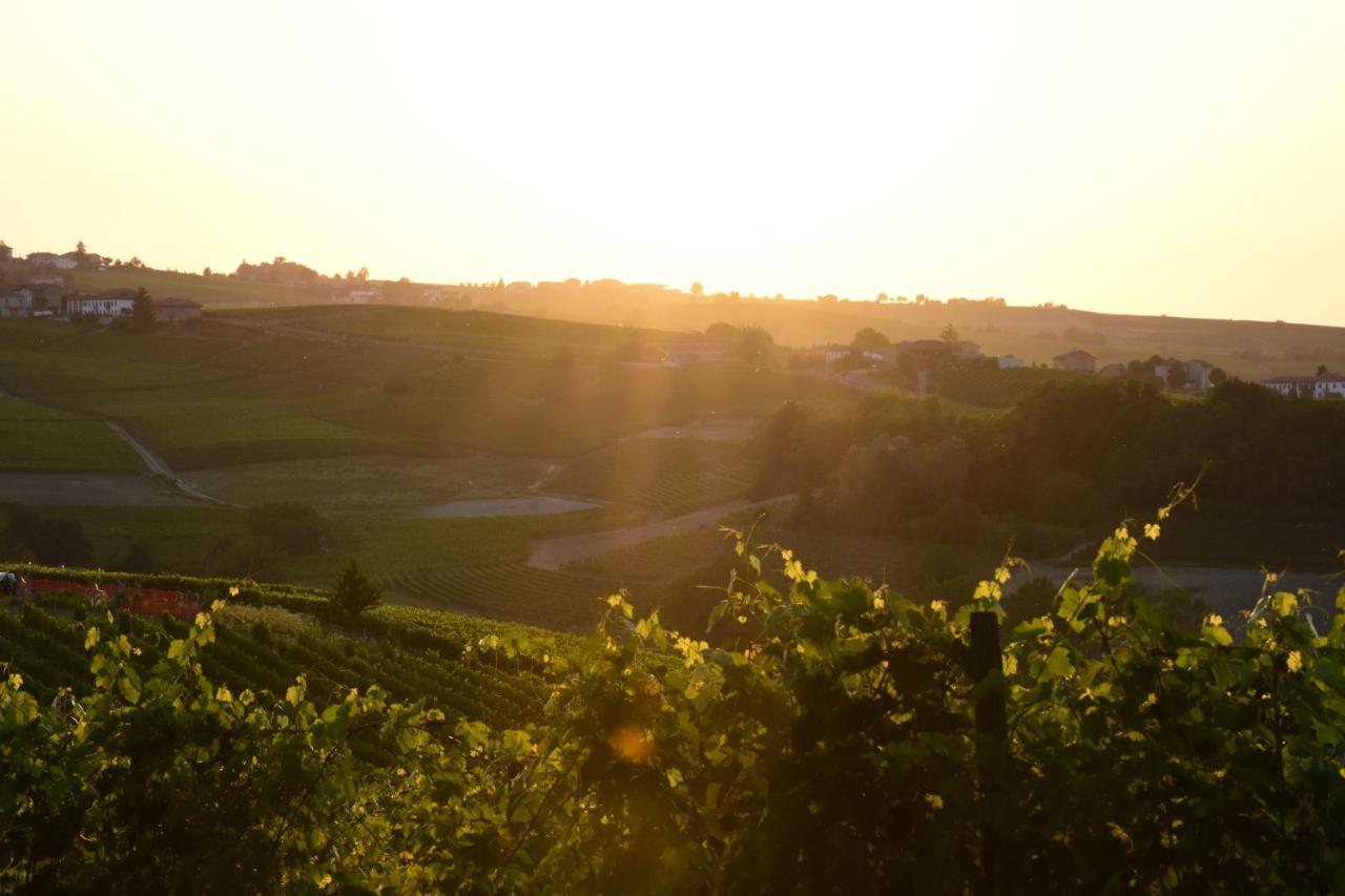 Agriturismo Cascina L'Arche ซานโตสเตฟาโน เบลโบ ภายนอก รูปภาพ